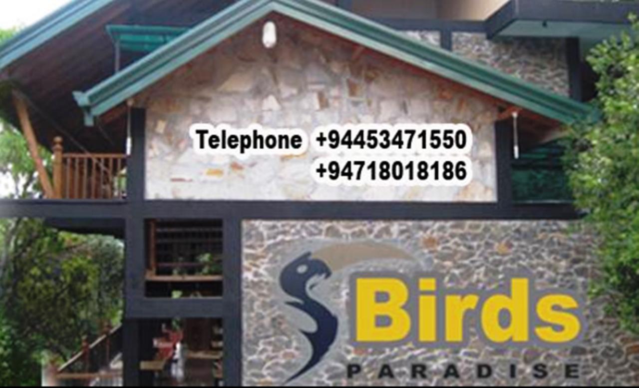 Birds Paradise Hotel Kudawe Exteriér fotografie