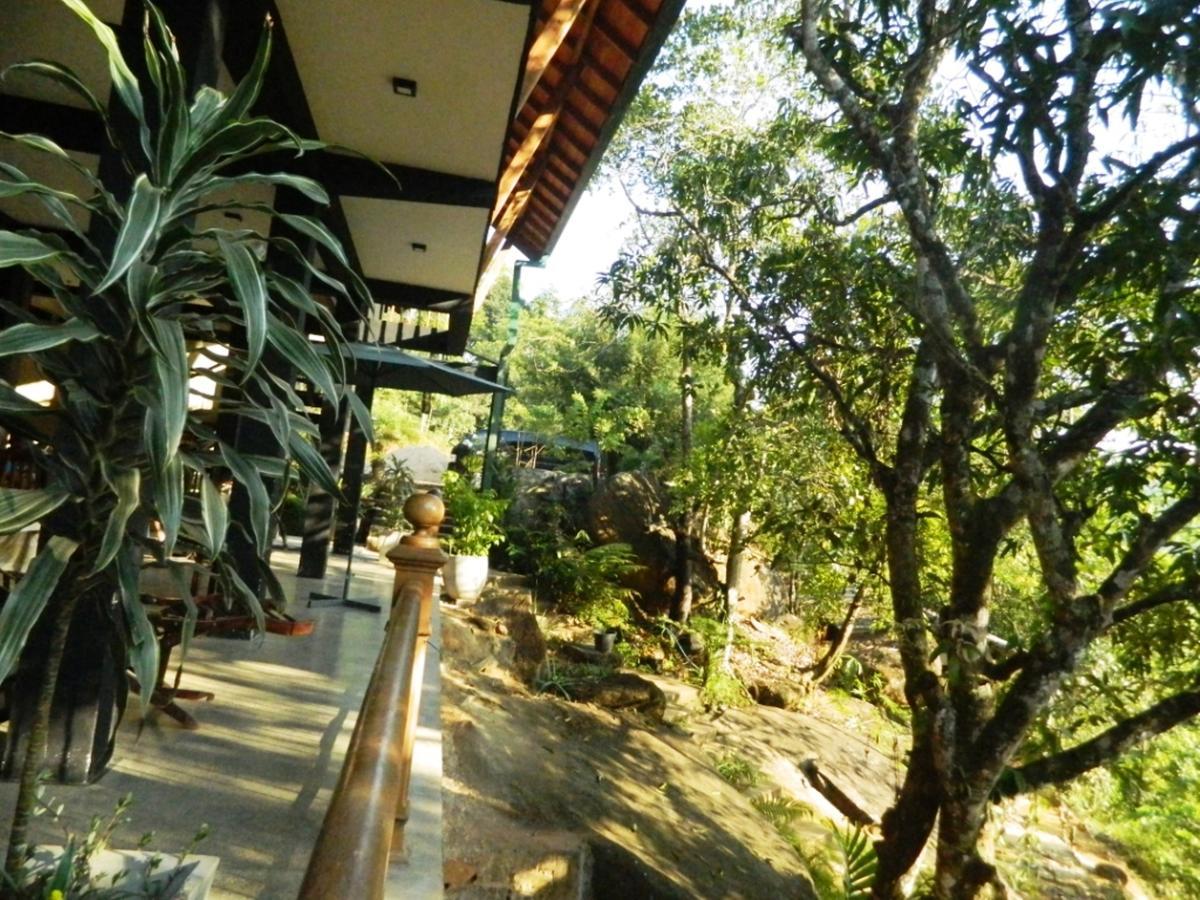 Birds Paradise Hotel Kudawe Exteriér fotografie