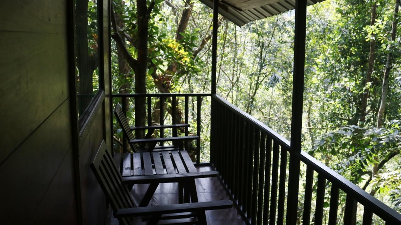 Birds Paradise Hotel Kudawe Exteriér fotografie